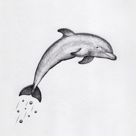 Dolphin🐬 I really enjoyed the process. I think I'll draw more ocean animal in future. Do you like the ocean theme? . . . . #tattoodesign #artist #drawingoftheday #mountain #designinspiration #handdrawing  #canson ##ocean #dolphin #dotworknow Underwater Sleeve, Dolphin Icon, Stippling Tattoo, Dolphin Drawing, Cupid Tattoo, Dolphins Tattoo, Animal Outline, Dotted Drawings, Stippling Art