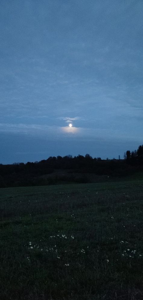 Field At Night, Moon Flower Aesthetic, Flower Field Night, Flower Field At Night, Flower Fields At Night, Spring Nights, Daisy Field, Mask Painting, Night Scenery