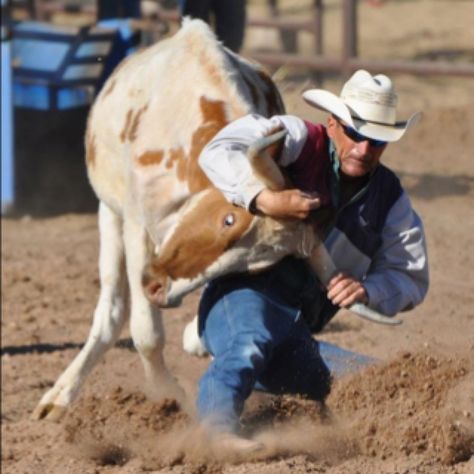 Steer  Wrestling! Steer Wrestling, Hard Working Man, Cowboy Rodeo, Career Options, American Sports, The Ranch, Hercules, Rodeo, Cowboy