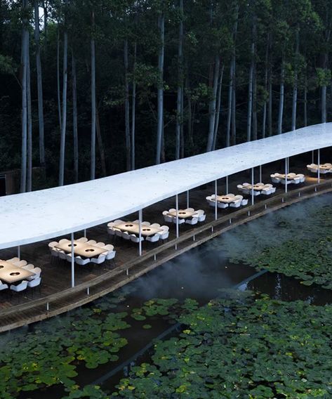 MUDA-architects completes garden hotpot restaurant in chengdu, China Hotpot Restaurant, Architectural Scale, Bar Design Awards, Kengo Kuma, Chief Architect, Eucalyptus Tree, Lotus Pond, Best Office, Canopy Cover