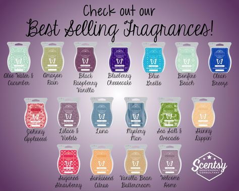 Here are the best sellers.  This is what most customers buy. Fragrance Families, Scentsy Marketing, Scentsy Candles, Selling Scentsy, Scentsy Consultant Ideas, Scent Bars, Scented Wax Warmer, Scentsy Party, Scentsy Wax Bars