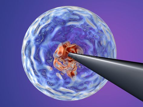 Cloning - injecting DNA 2. A Needle penetrating a stem cell and injecting manipu , #sponsored, #Needle, #DNA, #Cloning, #injecting, #manipulated #ad Code Illustration, Dna Cloning, Dna Code, Social Media Design Graphics, Stem Cells, 2 A, Digital Illustration, Stock Images Free, Evolution