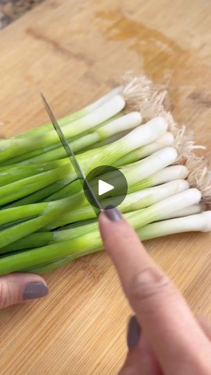 Growing From Scraps, Green Onions Growing, Growing Onions, Green Onion, Grow Your Own Food, Veggie Garden, Edible Garden, Kitchen Garden, Urban Garden