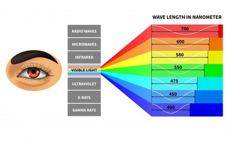 Spectrum Illustration, Visible Light Spectrum, Electromagnetic Waves, Light Spectrum, Light Bulb Icon, Visible Spectrum, Electromagnetic Spectrum, Education Icon, Book Background