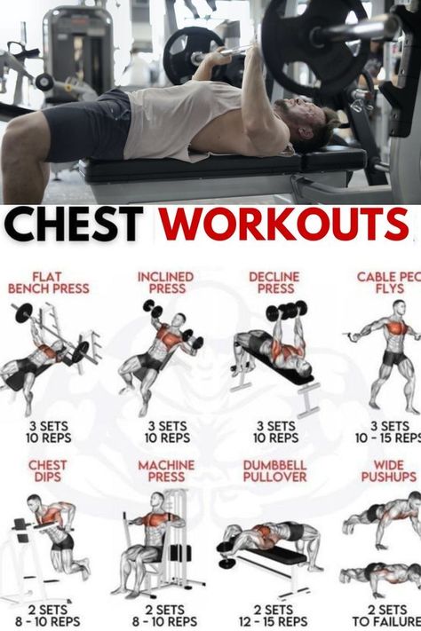 Full Chest Workout, Chest Workout At Home, Chest Workout Routine, Workout Exercises, Abs And Cardio Workout, Chest Workouts, Fitness Experts, Chest Workout, Effective Workouts