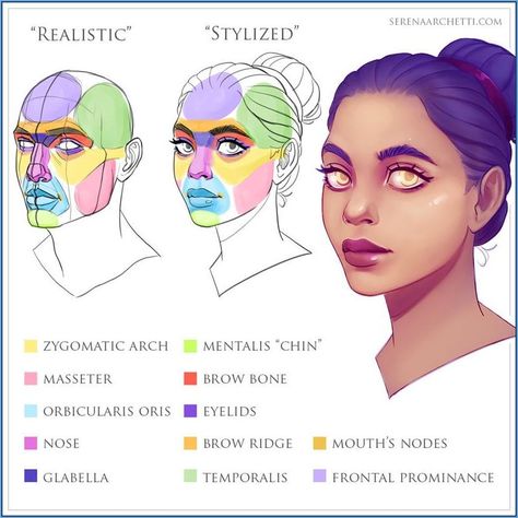 Try this way of tightening skin ศิลปะ Sugar Skull, Stylized Face, رسم كاريكاتير, Face Anatomy, Artist Tips, Výtvarné Reference, Anatomy Tutorial, Female Design, 얼굴 그리기