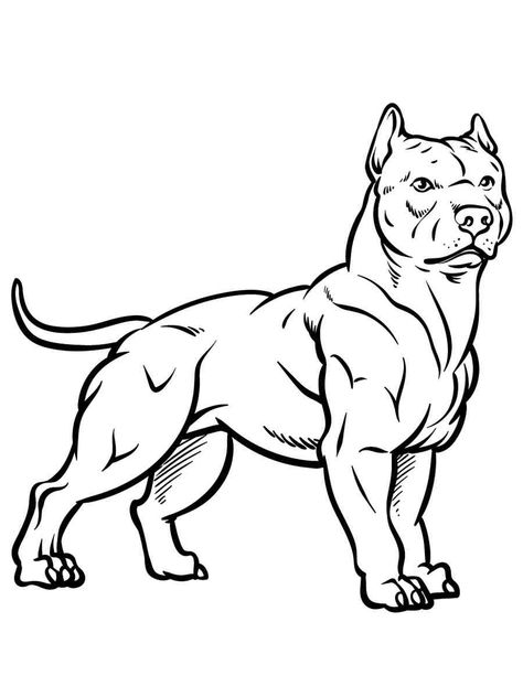 Pitbull Coloring Pages, Pitbull Character Design, Pitbull Drawing Cartoon, Pitbulls Drawing, Pitbull Dog Drawing, Pit Bull Drawing, Deadlift Platform, Pitbull Drawing, Dog Pencil Drawing