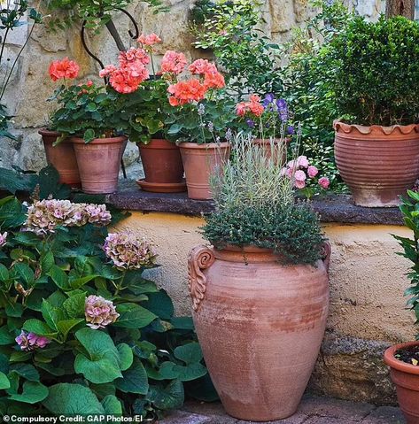 Monty Don has had a long love affair with pots - and here he shares his tips for how to use them | Daily Mail Online Mediterranean Patio Ideas, Large Terracotta Planters, Abstract Art Flowers, Christmas In The South, Terra Cotta Pots Garden, Terracotta Garden, Monty Don, Spanish Garden, Shade Gardens