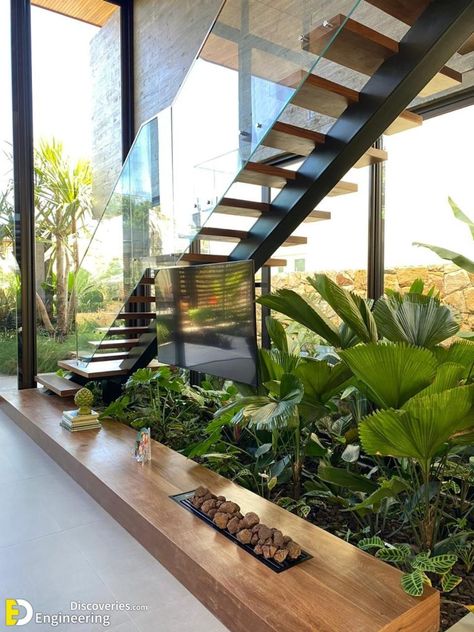 27+ Fascinating Under Stair Garden Ideas That Will Blow Your Mind - Engineering Discoveries Stair Garden, تحت الدرج, Staircase Interior Design, Home Designs Exterior, Stairs Design Interior, Inside Garden, Escalier Design, Garden Stairs, Floating Stairs