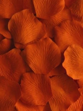 Wedding Rose Petals, Aura Orange, Mr Bingley, Cinnamon Hair Colors, Cinnamon Hair, Western Themed Wedding, Wedding Rose, Burnt Sienna, Burnt Umber