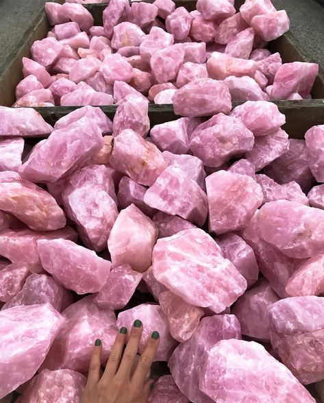 MysticalJewels | Crystal Store on Instagram: “Can you tell that we’ve recently been a little obsessed with Rose Quartz 😍? We’re ten days away from Valentines Day and the love vibes are…” Christie Nicolaides, Shiva Rose, Crystals Store, Raw Rose Quartz, Pink Vibes, Rose Quartz Stone, Crystal Rose, Rose Quartz Gemstone, Rose Quartz Crystal