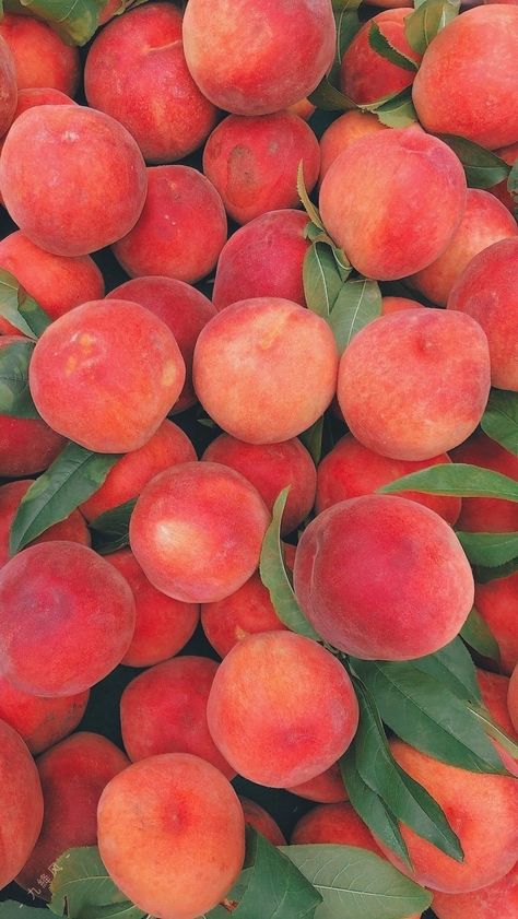 aesthetic Peach Wallpaper, Peach Background, Peach Aesthetic, Spring Scents, Peach Fruit, Still Life Photos, Food Wallpaper, Aesthetic Picture, Colorful Fruit