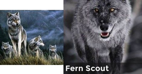 Fern Scout | What is your werewolf name and position? Werewolf Name, Name Maker, Quizzes For Fun, Writing Inspiration Prompts, Buzzfeed Quizzes, The Fault In Our Stars, A Wolf, How To Start Running, Warrior Cats