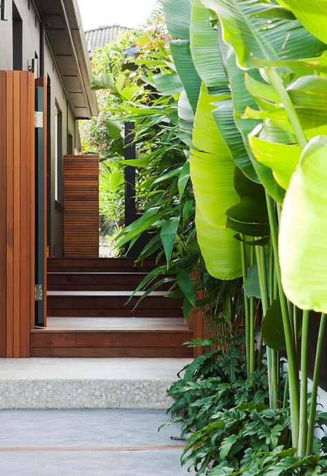 Bali Garden, Landscape Gardening, Side Yard Landscaping, Tropical Garden Design, Tropical Backyard, Tunbridge Wells, Garden Makeover, Tropical Gardens, Side Garden