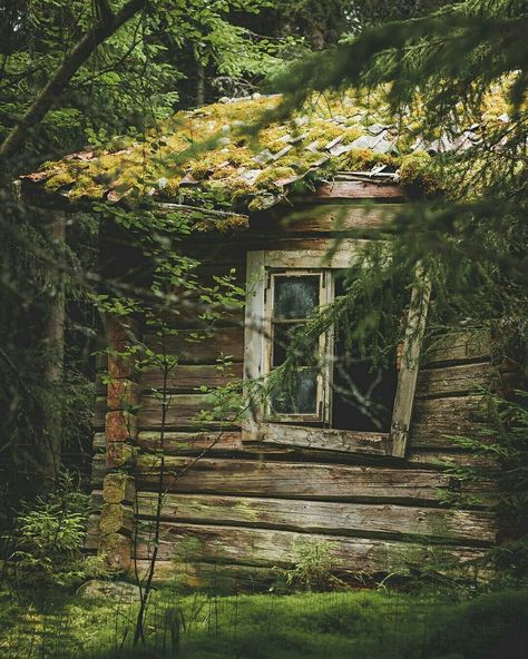 Cabin Aesthetic, Forest Cottage, Forest Cabin, Natural Homes, Old Cottage, Cabin In The Woods, Cabins And Cottages, Cabin Life, Forest House