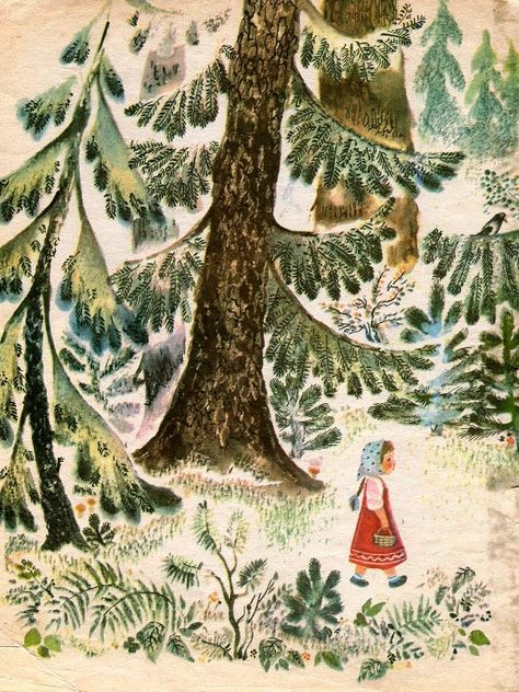 Little Red Vintage Forest Drawing, Vintage Russian Illustration, Vintage Illustration Fairytale, Vintage Forest Illustration, Fairytale Forest Illustration, Woodland Illustration Forest, Pine Forest Illustration, Vintage Children's Books Illustrations, Fairytale Book Illustration