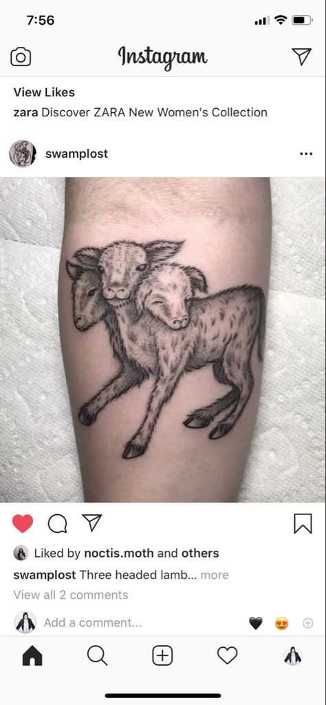 Wolf In Sheeps Clothing Tattoo, Wolf In Sheeps Clothing, Lambs And Wolves, Lamb Tattoo, Sheep Tattoo, Wolf Clothing, Tattoo Art Drawings, Chest Piece, Wolf Tattoo