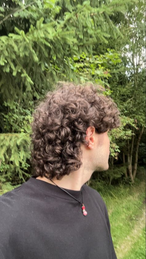 Men's Curly Haircut, Curly Wolfcut Men, Long Curly Mullet Men, Short Mullet Curly Hair, Mullet Hairstyle Mens Curly, Mullet Curly Hair Men, Curly Mullet Men, Mullet Curly Hair, Mullet Curly