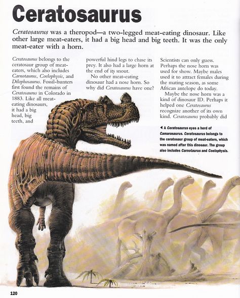 Ceratosaurus Dino Facts, Dinosaur Information, Prehistoric Animals Dinosaurs, Dinosaur Facts, Prehistoric Wildlife, Prehistoric Dinosaurs, Dinosaur Images, Dinosaur Illustration, Prehistoric World