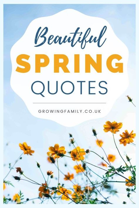 Looking for the best spring quotes or spring captions for instagram? This list has 100 great quotes about springtime to inspire you. Springtime Quotes Inspiration, April Quotes Spring, Christian Spring Quotes, Quote About Spring, Quotes About May, Spring Time Quotes, Spring Vibes Quotes, Cute Spring Quotes, Spring Love Quotes