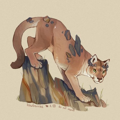 Hybrid Animals, Rock Mountain, Hybrid Art, Big Cats Art, Mountain Lion, Fantasy Creatures Art, Mythical Creatures Art, Creature Concept Art, Mystical Creatures