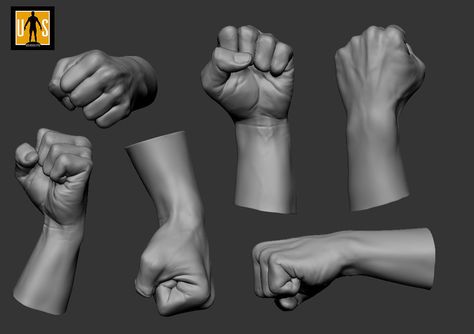 Hands Study, Arm Anatomy, 남성 근육, Hand Anatomy, Hecate Goddess, 4 Poses, Anatomy Sculpture, Male Pose Reference, Hand Drawing Reference