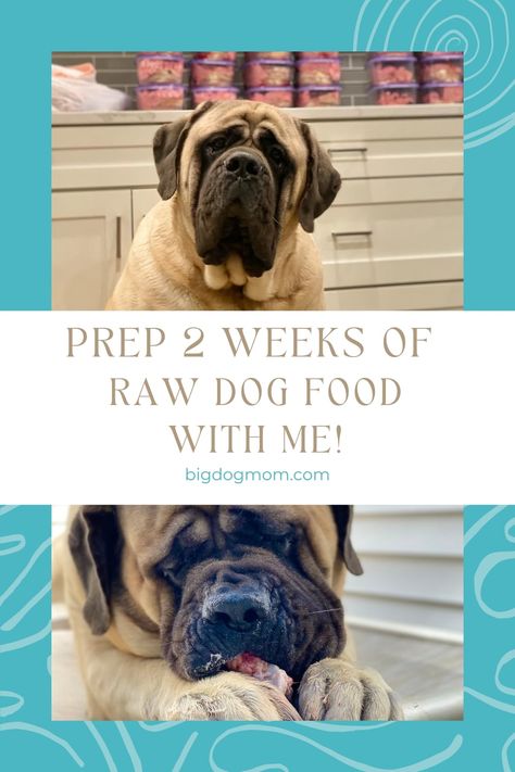 Bulk Dog Food Recipes, Raw Diet For Dogs Beginner, Raw Dog Food Recipes For Large Dogs, Diy Dog Food Recipe For Large Dogs, Homemade Dog Food Recipes For Large Dogs, Dog Raw Food Diet For Beginners, Raw Dog Food Recipes For Beginners, Raw Feeding Dogs, Barf Diet For Dogs