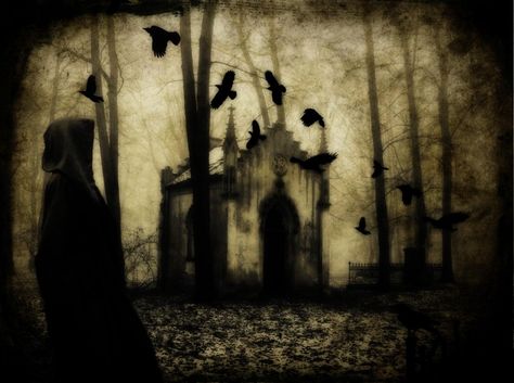 Path by Neriak on deviantART Sarah Moon, Creeped Out, Secret Place, Secret Places, All Birds, Heaven On Earth, Drawing Tools, Dark Side, Dark Art