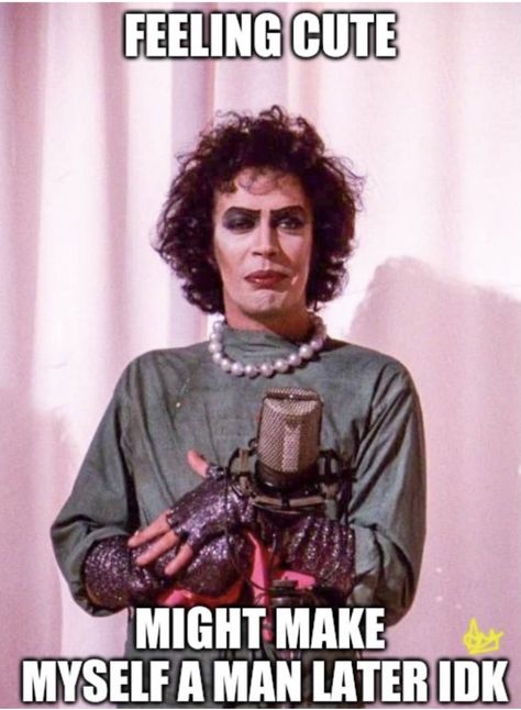 Heavy Curtains, Rocky Horror Show, Tim Curry, The Rocky Horror Picture Show, Bad Puns, Horror Picture Show, Rocky Horror Picture Show, Rocky Horror Picture, Horror Show