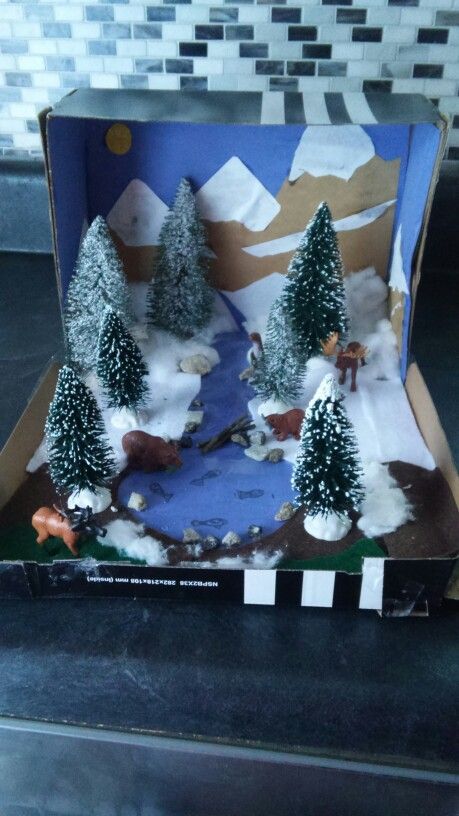 My sons newly finished taiga biome. Turned out pretty good! Ecosystems Diorama, Taiga Biome, Biomes Project, Ecosystems Projects, Habitats Projects, Free To Use Images, Winter Crafts For Kids, My Sons, Animal Habitats