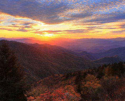 Blue Ridge Mountains Georgia, Blue Ridge Mountains Virginia, Pennsylvania Mountains, Blue Ridge Georgia, Woven Dining Chairs, Nature Magic, Physical Geography, Landscape Reference, North Georgia Mountains