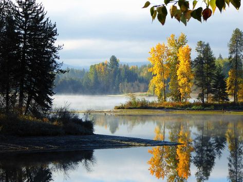 Five Autumn Activities You Can Only Find in Sandpoint, Idaho | Seattle Magazine Idaho Panhandle, Magical Lake, Fall Traditions, Fall Foliage Road Trips, Explore Idaho, Sandpoint Idaho, Northern Idaho, Western Pleasure, Unique Fall