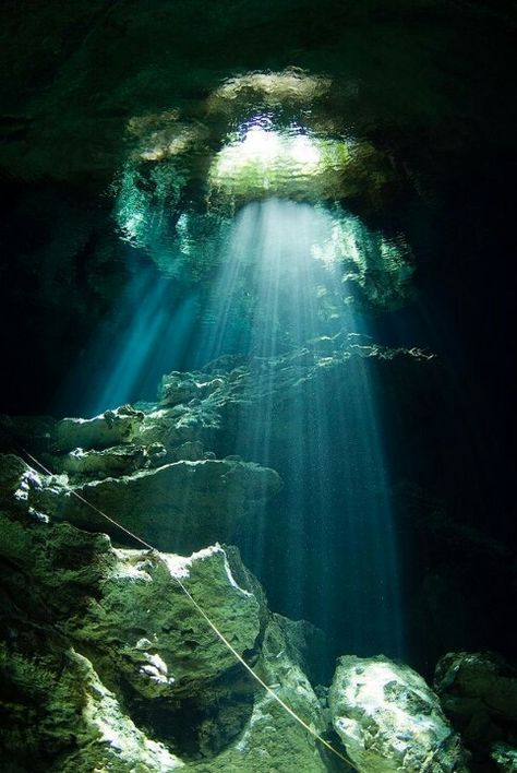 Fantastic water cave Ocean Trench, Mexican Riviera, Underwater Caves, Cave Diving, Riviera Maya Mexico, Yucatan Peninsula, Underwater World, Ocean Life, Riviera Maya