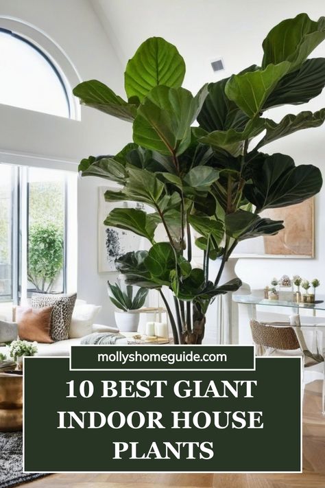 Discover the best large indoor house plants perfect for your living room! From Monstera Deliciosa to Snake plant, these beautiful and low-maintenance indoor plants are perfect for small spaces. Explore a variety of large leaf philodendron varieties that thrive in low-light conditions. Elevate your home decor with these stunning large houseplants that will bring life and freshness to any space. Consider adding some of these stylish and easy-to-care-for plants to create a cozy atmosphere in your h Plants For The House, Plants In The House Decor, Hanging Monstera Deliciosa, Cozy Modern Living Room With Plants, Best Large Indoor Plants For Low Light, Indoor Plants Living Room Ideas, Large Indoor Potted Plants, Top Indoor Plants, Home Plants Indoor Decor Living Rooms