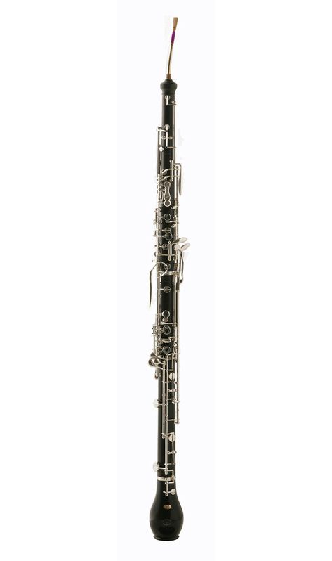 Loree royal cor anglais. My baby 😍 English Horn, Wind Instruments, Clarinets, Woodwind Instruments, Band Geek, Music Collage, Musical Art, Oboe, Art Products