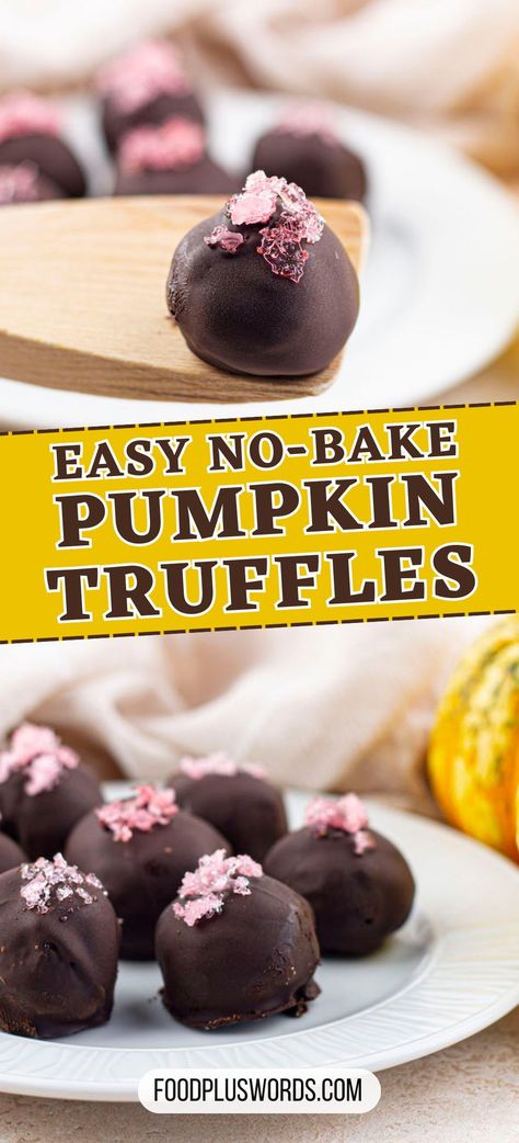 Dark Chocolate Pumpkin Truffles, Pumpkin Truffle Balls, Chocolate Pumpkin Truffles, Pumpkin Pie Crust, Chocolate Pumpkin Pie, Pumpkin Truffles, Pumpkin Balls, No Bake Recipe, No Bake Pumpkin Cheesecake