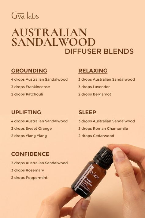 Aromatic Australian Sandalwood essential oil blends: Find relaxation and balance with our captivating scents crafted from nature. Discover the perfect harmony of warm sandalwood notes and delicate floral, citrus, or herbal undertones.
#GyaLabs #AustralianSandalwood #EssentialOilBottle #Oils #EssentialsOils #Aroma #Diffuser #Blends #Beauty #Cosmetic #Aromatheraphy #Relaxation #Diffuserblends #Essentialoilblends Diffuser Blends Sandalwood, Sandalwood Essential Oil Diffuser Blends, Diffuser Blends With Sandalwood, Sandalwood Oil Blends, Sandlewood Diffuser Blend, Sandlewood Essential Oil Diffuser Blends, Sandlewood Essential Oil Blends, Sandalwood Diffuser Blend, Sandalwood Diffuser Blends