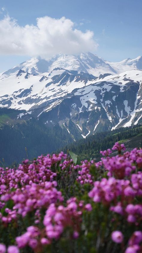 Lyla Core, Breathtaking Nature, Lock Screen, Pretty Places, Screen Wallpaper, Mount Rainier, Lock Screen Wallpaper, Life Is Good, Around The Worlds