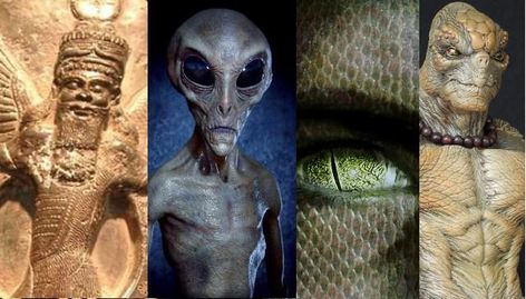 Six Alien Species Are Battling Over Control Of Human Beings And Earth | by Jessica Udaraljka | Medium Reptilian People, Human Puppet, Types Of Aliens, Golden Ratio In Design, Alien Species, Science Fact, Grey Alien, Unexplained Phenomena, Arte Alien