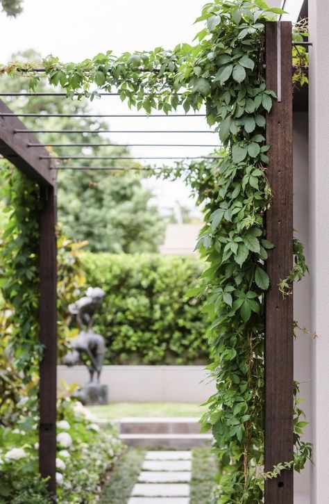 Boston Ivy, Small House Garden, Side Yard Landscaping, Growing Vines, Front Yard Landscaping Diy, Outdoor Trellis, Herb Garden Design, Vertical Garden Diy, Climbing Vines