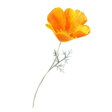 Orange Poppy Tattoo, California Poppy Drawing, Yellow Flower Tattoos, California Poppy Tattoo, California Poppy Art, Poppy Flower Tattoo, Poppy Tattoo, Orange Poppies, Sublimacion Ideas