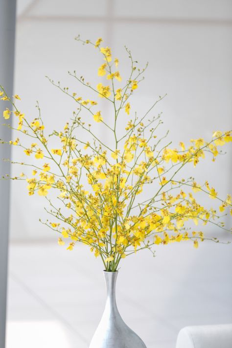 Tall Modern Centerpiece with White Vase and Yellow Flowers – shared on Style Me Pretty Yellow Oncidium Orchids, Yellow Forsythia, Modern Wedding Centerpieces, Fall Berries, Yellow Weddings, Simple Centerpiece, Oncidium Orchids, Flowering Branches, Wedding Yellow