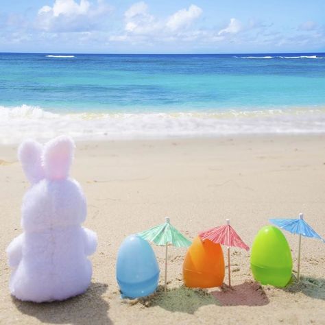 May you and your family have a Happy Easter! #eastersunday #baskets #kids #easterbunny #egghunt #familytime Easter At The Beach, Easter Photoshoot, Holiday Images, Photography Kit, Easter Photos, Places To Get Married, Coastal Cities, Close Up Portraits, Types Of Photography