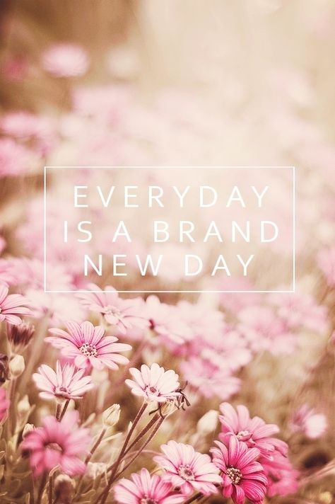 The One Thing Challenge - Join Me A Brand New Day, Brand New Day, Happy Thoughts, Positive Thoughts, Beautiful Quotes, A New Day, The Words, Beautiful Words, Inspirational Words