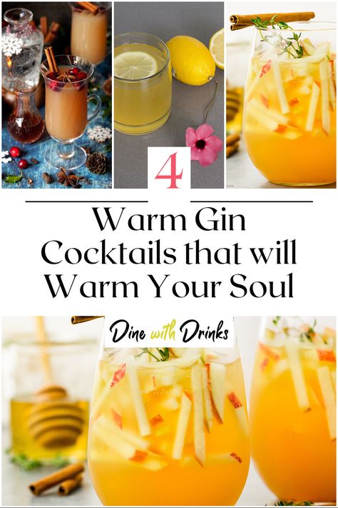 Collage of 4 warm gin cocktails. Hibiscus Drink, Warm Cocktails, Cozy Drinks, Gin Drinks, Gin Lovers, Holiday Vibes, Winter Drinks, Cold Night, Gin Cocktails