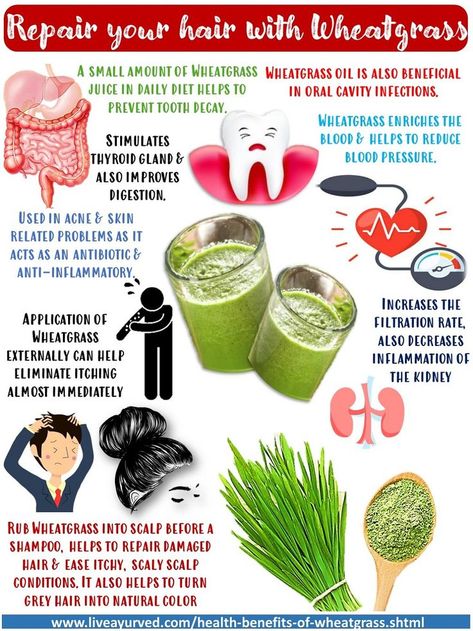 wheatgrass juice Patanjali, wheat grass powder Patanjali, benefits of wheatgrass juice, Health benefits of wheatgrass juice, benefits of wheatgrass for cancer Wheat Grass Powder, Wheatgrass Benefits, Wheatgrass Smoothie, Wheatgrass Juice, Wheatgrass Powder, Juice Benefits, Food Vocabulary, Green Juice Recipes, Ayurvedic Remedies