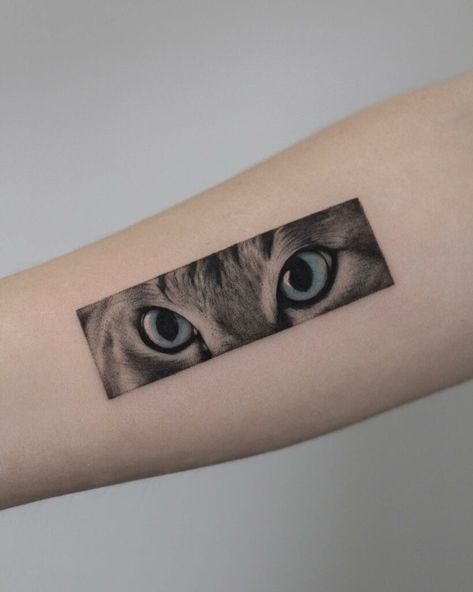 Realistic Cat Face Tattoo, Cat Eyes Tattoo Realistic, Cat Eye Tattoo Realistic, Realism Cat Tattoo, Eye Tattoo Ideas Realistic, Cat Tattoo Realistic, Cat Eyes Tattoo, Cat Eye Tattoo, Eyes Tattoo Ideas