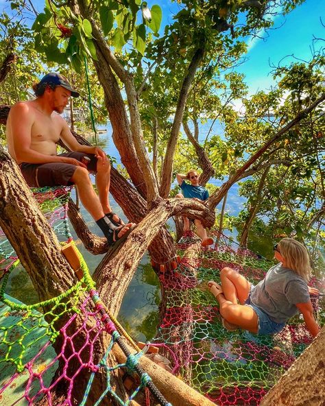 Key West Florida now has the ideal over water net hammock hangout meant for watching wildlife and amazing ocean sunsets Bnb Ideas, Net Hammock, Tree Fort, Key West Fl, Relaxation Room, Kids Bunk Beds, Tree Houses, Fishing Net, Dream Rooms