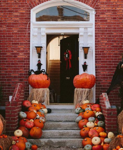 Dublin In Fall, Dublin In Autumn, Dublin Ireland Aesthetic Christmas, Doors Of Dublin Ireland, Guinness Storehouse Dublin, Ireland Aesthetic, Visit Dublin, Dublin City, Dublin Ireland