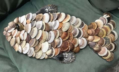 Fish Shell Art, Seashell Fish, Shell Crafts Seashells Diy Ideas, Sea Inspired Art, Sand Dollar Ornament, Seashell Art Diy, Sea Shells Diy, Seashell Wall Art, Shells Diy